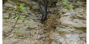 Conférence et promenade sur le géopatrimoine